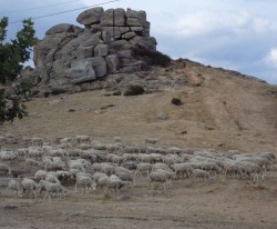 El risco cercano al Castillo-Palacio de Magalia que, de pequeño me parecía enorme pero que realmente es pequeño. Compárenlo con el tamaño de las ovejas.