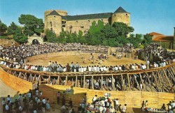 Castillo-Palacio de Magalia y antigua plaza de toros, en el año 1950.