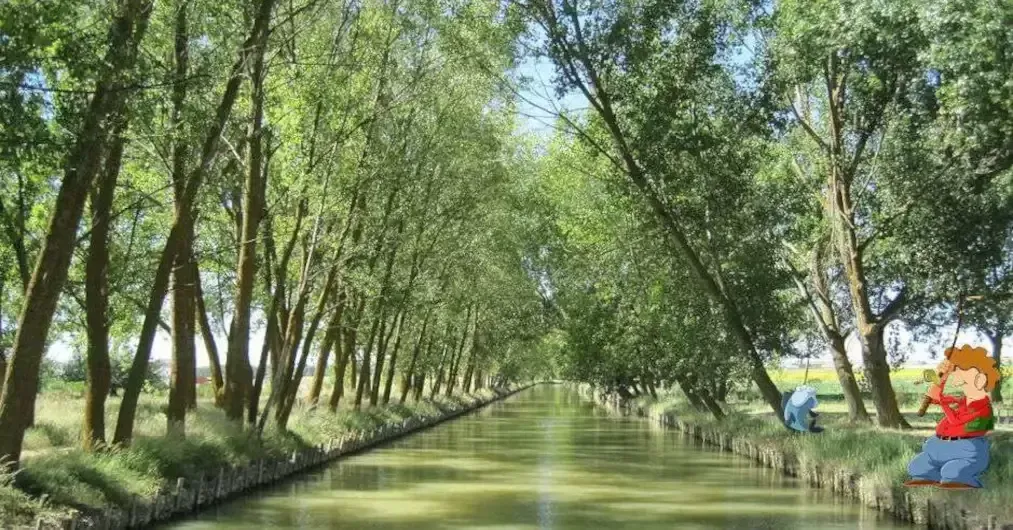 Canal de Castilla - Ramal de Campos