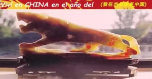 El zodiaco chino funciona en un ciclo de doce años en lugar de en meses como lo hace el occidental. Por tanto, el horóscopo chino consta de doce animales con el siguiente orden: rata, buey, tigre, conejo, dragón, serpiente, caballo, cabra, mono, gallo, perro y cerdo.