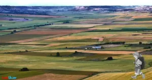 La belleza natural y artística de Tierra de Campos, comarca de la que la ciudad de Palencia se considera la capital.