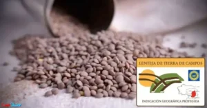 La lenteja pardina de Tierra de Campos posee un Consejo Regulador encargado de garantizar la trazabilidad y la calidad de la lenteja de Tierra de Campos, sobre todo en lo que respecta a las normas en la siembra, el abonado, la cosecha y el el almacenamiento.