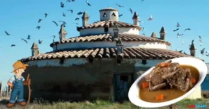 En la comarca castellano-leonesa de Tierra de Campos, la cría del pichón ha tenido desde siempre gran importancia, tal y como atestiguan los numerosos palomares que existen en la comarca, algunos de los cuales datan de tiempos romanos. Los pichones se presentan frescos o en escabeche; esta fórmula era antaño utilizada para almacenar el producto de forma óptima hasta su posterior consumo.