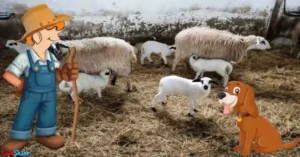 El lechazo churro o cordero lechal de raza churra es aquel que es alimentado por su madre exclusivamente con leche materna, desde su nacimiento hasta su sacrificio, y que forma parte fundamental de la gastronomía terracampina.