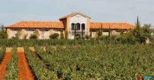 Bajo la denominación “Heredad de Urueña” se está desarrollando desde 2005 un proyecto integral de restauración y recuperación de una alquería castellana, en el corazón de la comarca de "Tierra de Campos" y a los piés de los "Montes Torozos". Así que en Urueña, aparte de libros también se producen buenos caldos.